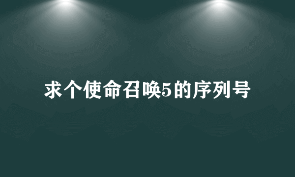 求个使命召唤5的序列号