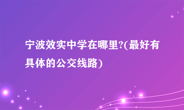 宁波效实中学在哪里?(最好有具体的公交线路)