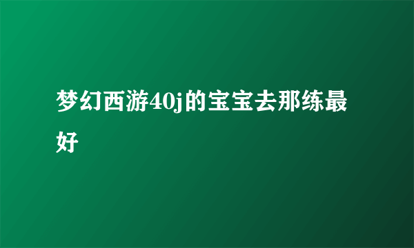 梦幻西游40j的宝宝去那练最好