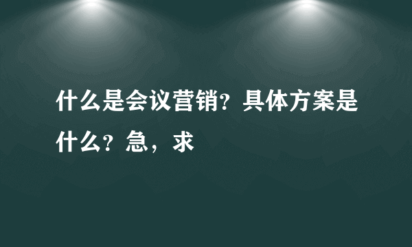 什么是会议营销？具体方案是什么？急，求