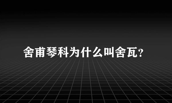 舍甫琴科为什么叫舍瓦？