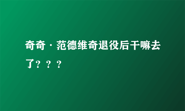 奇奇·范德维奇退役后干嘛去了？？？