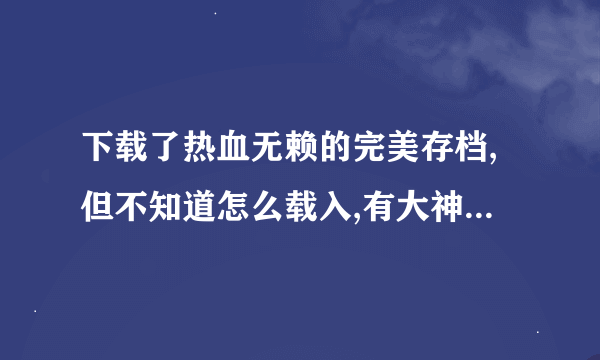 下载了热血无赖的完美存档,但不知道怎么载入,有大神指导一下吗？