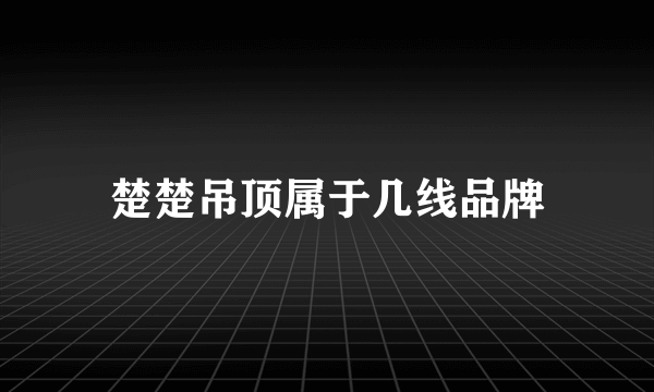 楚楚吊顶属于几线品牌