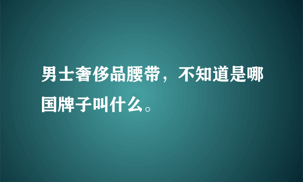 男士奢侈品腰带，不知道是哪国牌子叫什么。