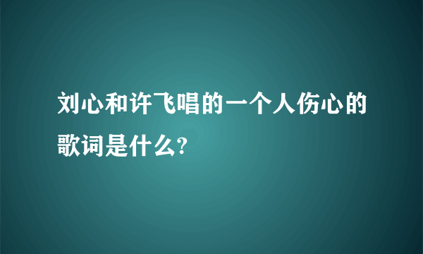 刘心和许飞唱的一个人伤心的歌词是什么?