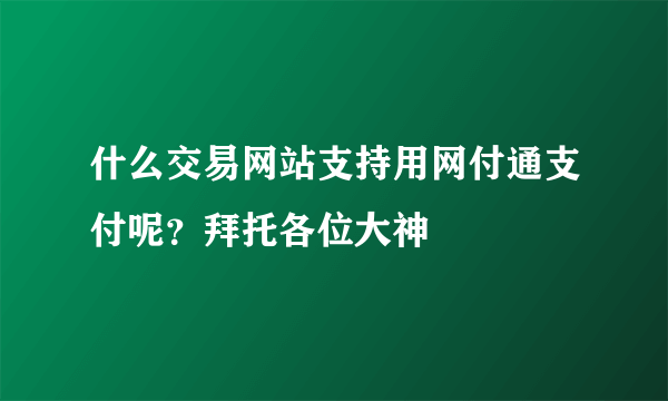 什么交易网站支持用网付通支付呢？拜托各位大神