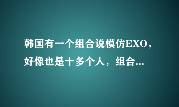 韩国有一个组合说模仿EXO，好像也是十多个人，组合名字叫什么？