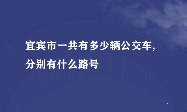 宜宾市一共有多少辆公交车,分别有什么路号