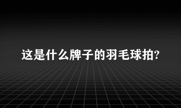 这是什么牌子的羽毛球拍?