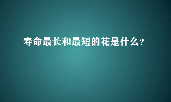 寿命最长和最短的花是什么？