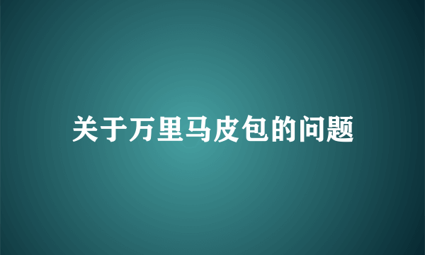 关于万里马皮包的问题