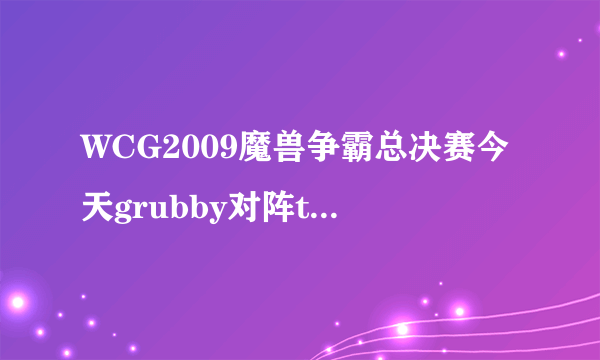 WCG2009魔兽争霸总决赛今天grubby对阵terror电视镜头给到兽王妻子，黄种人