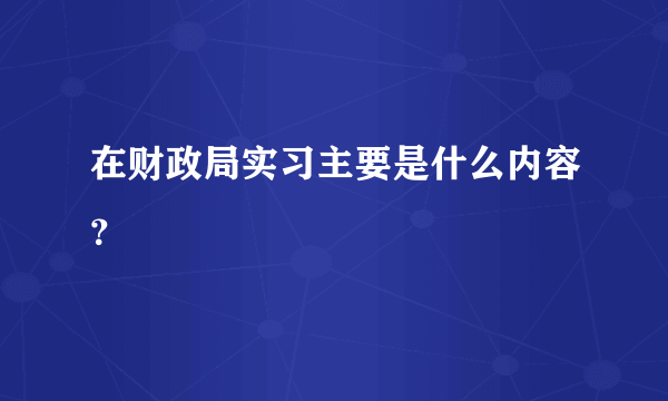 在财政局实习主要是什么内容？