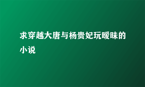 求穿越大唐与杨贵妃玩暧昧的小说