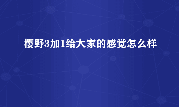 樱野3加1给大家的感觉怎么样