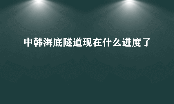 中韩海底隧道现在什么进度了