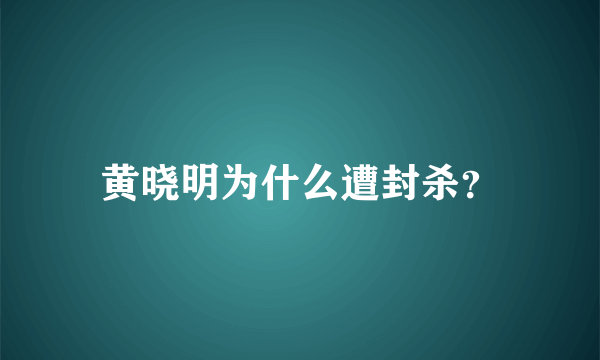 黄晓明为什么遭封杀？