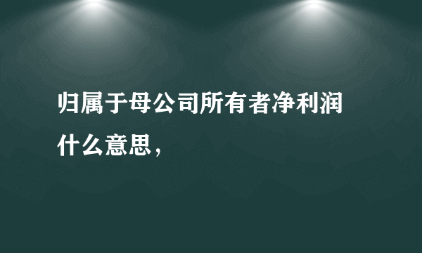 归属于母公司所有者净利润 什么意思，