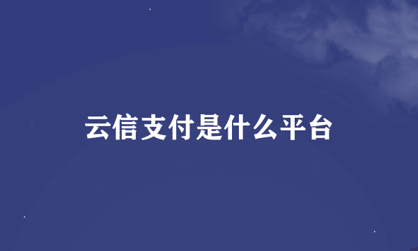 云信支付是什么平台