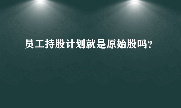 员工持股计划就是原始股吗？