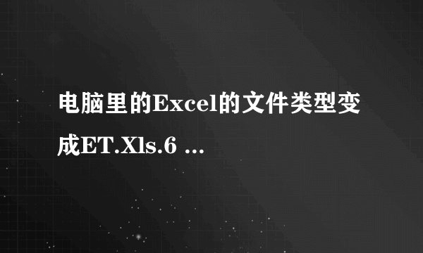 电脑里的Excel的文件类型变成ET.Xls.6 怎么办？