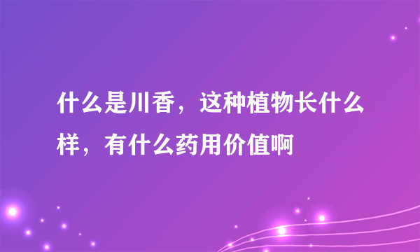 什么是川香，这种植物长什么样，有什么药用价值啊