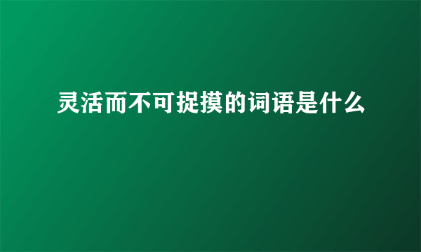 灵活而不可捉摸的词语是什么