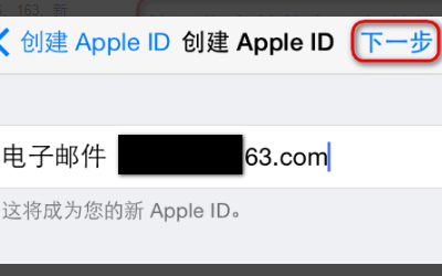 请输入有效的电子邮件地址作为您的Appleld