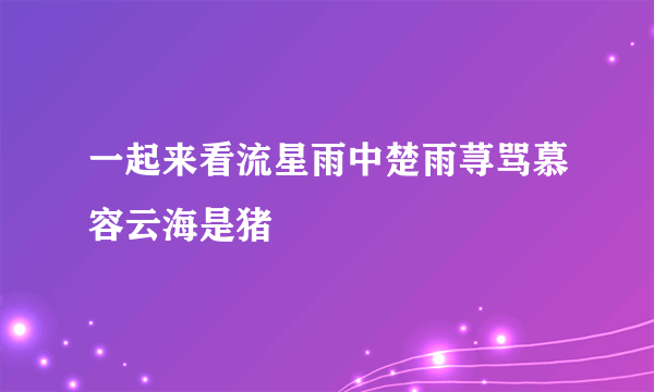 一起来看流星雨中楚雨荨骂慕容云海是猪