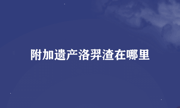 附加遗产洛羿渣在哪里