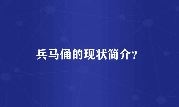 兵马俑的现状简介？