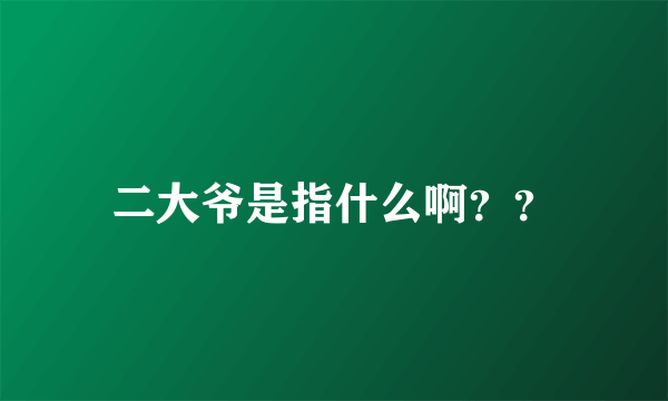 二大爷是指什么啊？？