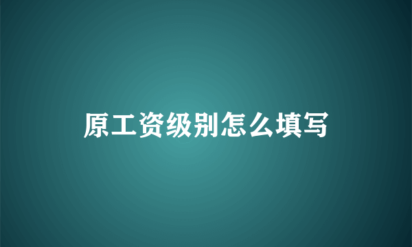 原工资级别怎么填写