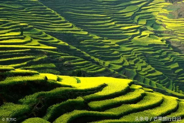 三四月份，国内哪些地方适合出去旅游？