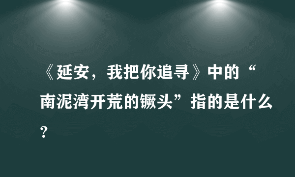 《延安，我把你追寻》中的“南泥湾开荒的镢头”指的是什么？