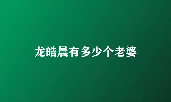 龙皓晨有多少个老婆