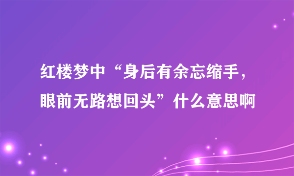 红楼梦中“身后有余忘缩手，眼前无路想回头”什么意思啊