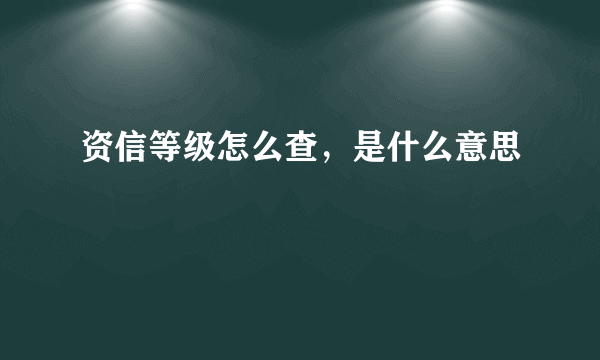 资信等级怎么查，是什么意思