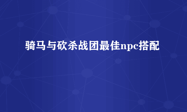 骑马与砍杀战团最佳npc搭配