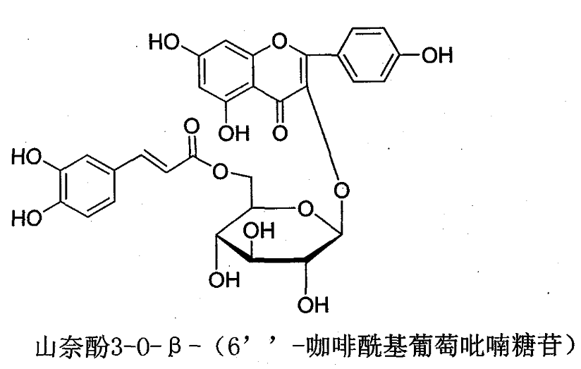 什么是糖苷键