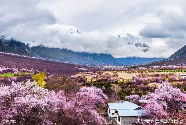 三四月份，国内哪些地方适合出去旅游？