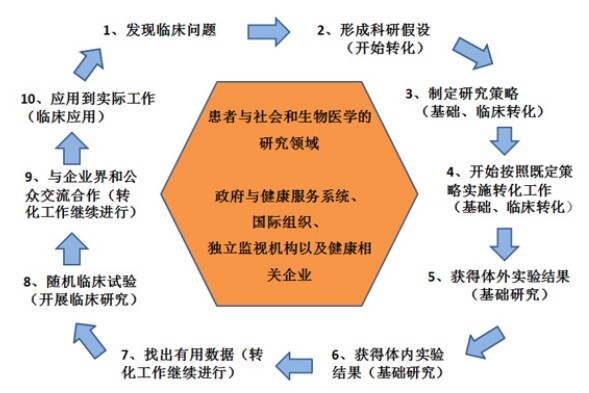 基础研究和应用研究有什么区别？