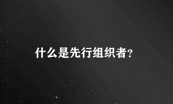 什么是先行组织者？