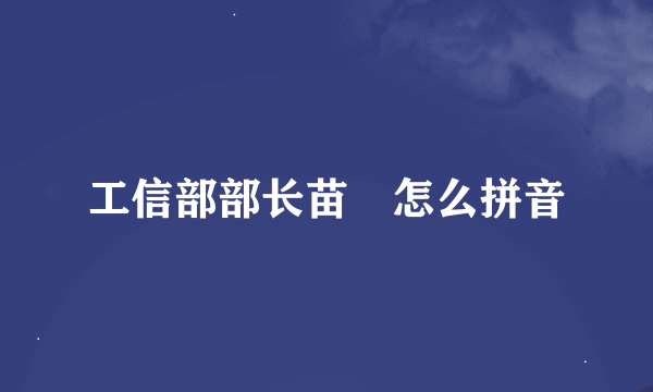 工信部部长苗玗怎么拼音