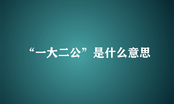 “一大二公”是什么意思