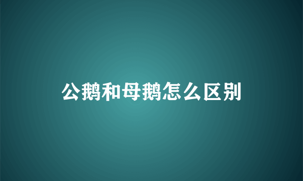 公鹅和母鹅怎么区别