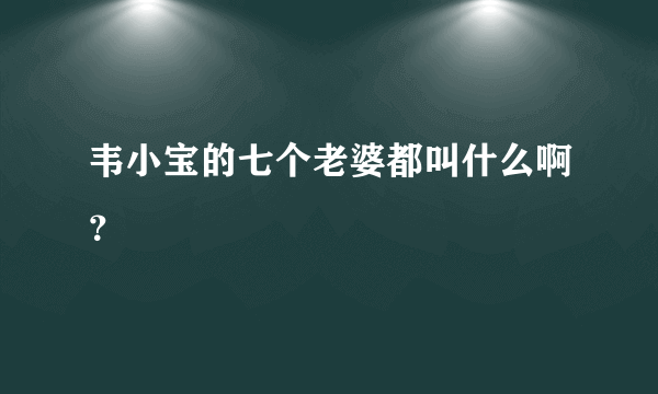 韦小宝的七个老婆都叫什么啊？