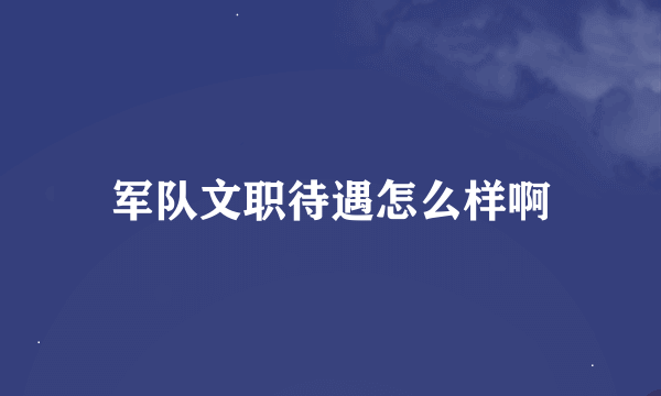 军队文职待遇怎么样啊