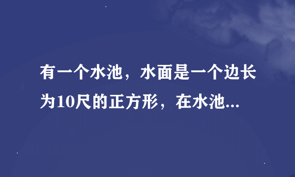 有一个水池，水面是一个边长为10尺的正方形，在水池中央有一根芦苇，他高出水面一尺，